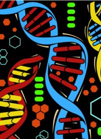 Are Commercial DNA Tests DOA?