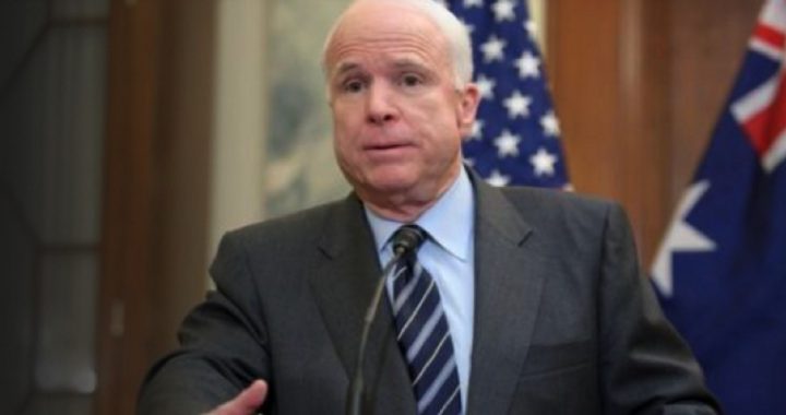 John McCain Targets Tea Party Activists in Alleged Arizona GOP Purge