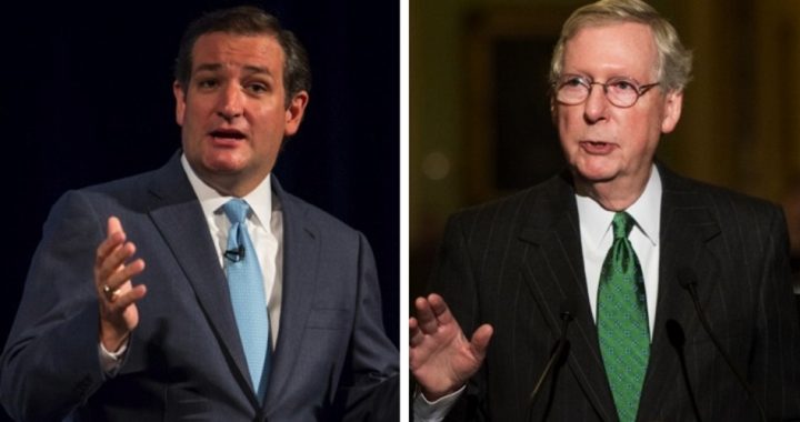 House Conservatives Prefer Cruz Over McConnell on Immigration