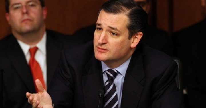 Cruz Says Obama Administration Is “Counterfeiting Immigration Documents”