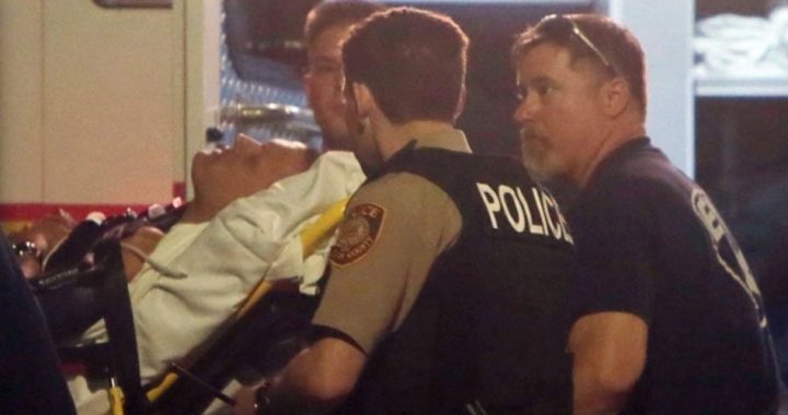 Police Shot During Protests in Ferguson, Missouri