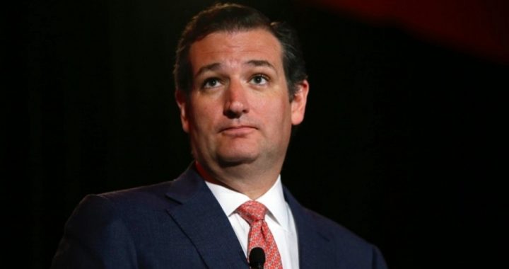 Ted Cruz Criticized by Two Pro-Amnesty Hispanic Groups
