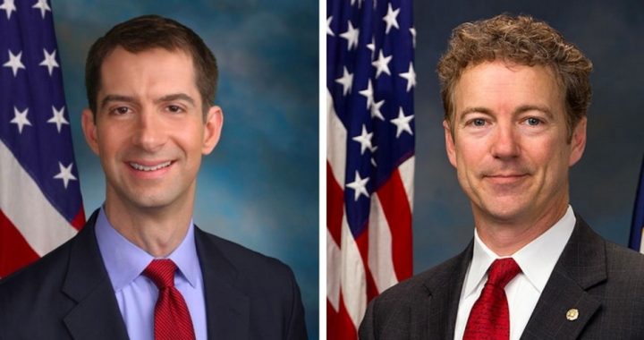Extending Patriot Act Provisions: Cotton Ready to Fight Rand Paul