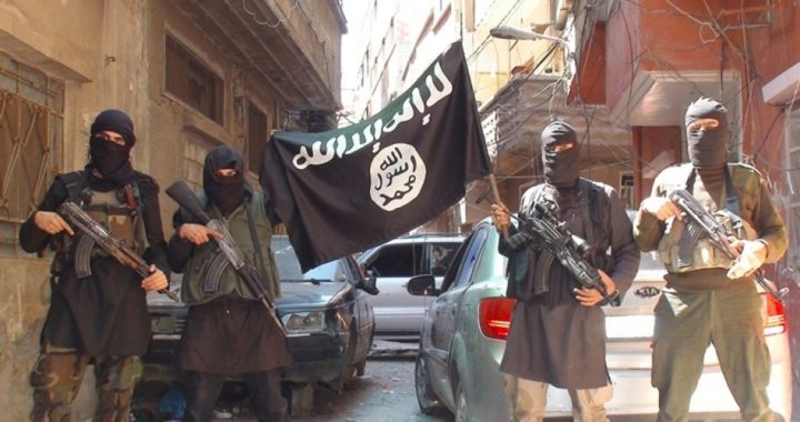 U.S. Intel: Obama Coalition Supported Islamic State in Syria