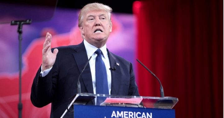 Trumping Trump: Political Victory Via Economic Destruction
