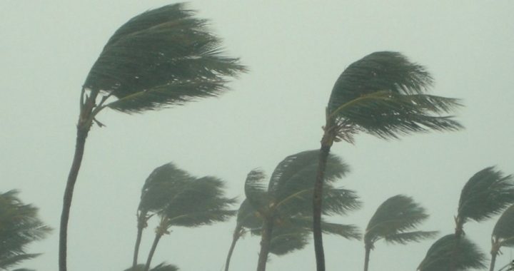 Hurricane Activity Down — Climate Alarmists Wrong Again