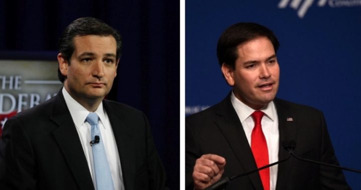 Hispanic Activists Condemn Cruz and Rubio as “Sellouts” and “Traitors”