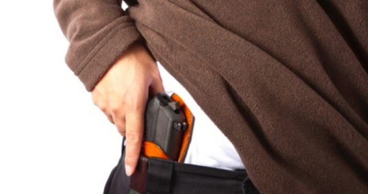 Virginia Refuses to Honor Concealed Carry Permits From 25 States