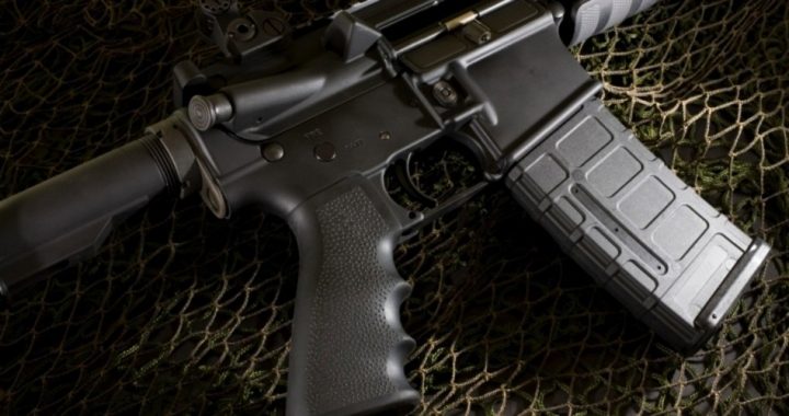 New “Assault Weapons” Ban Would “Ensure Right to Keep and Bear Arms Is Not Unlimited”