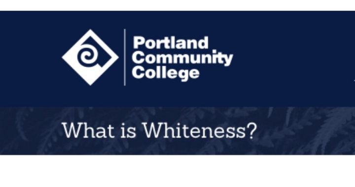 University Perversity: College to Have “Whiteness Shaming” Month