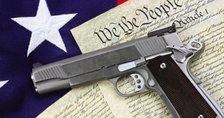 States Step Up Efforts to Nullify Federal Gun Control Edicts