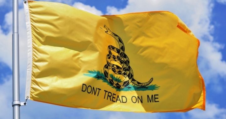 Utah Fusion Center Says “Gadsden Flag” a “Visual Indicator” of “Domestic Extremists”