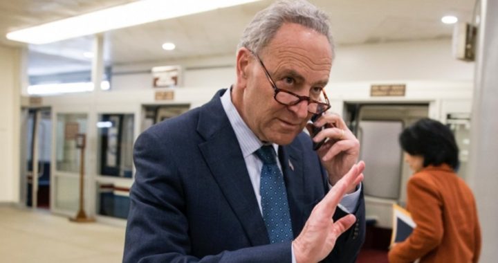 Schumer Wants $1 Million From Washington for Long Island Brewery Project