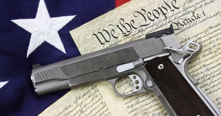 Soaring Gun Sales Cause Crime Rate to Plummet