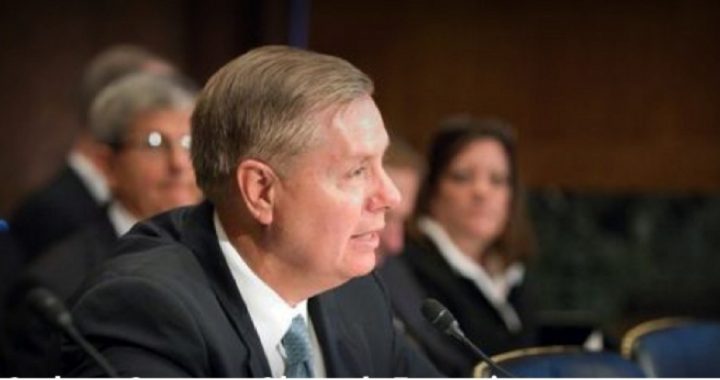 Senators File Brief in Support of States’ Lawsuit to Stop Obama Amnesty for Illegals