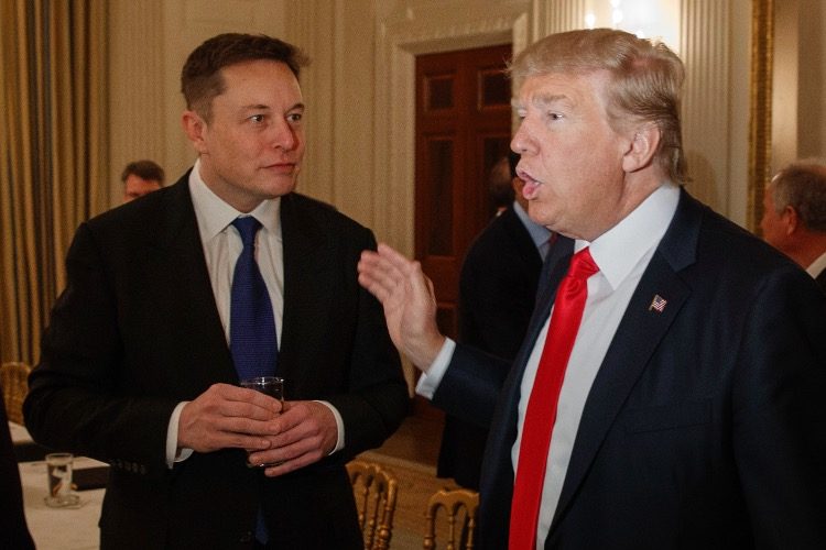 Trump Might Hire Musk for Gov’t Waste Panel