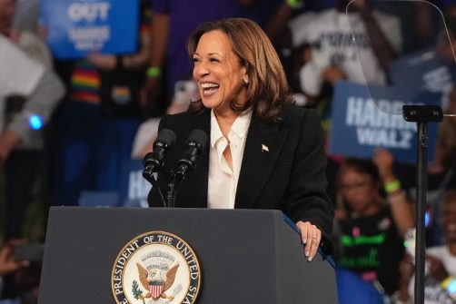 Harris Plagiarized Large Sections of Her Book on Crime