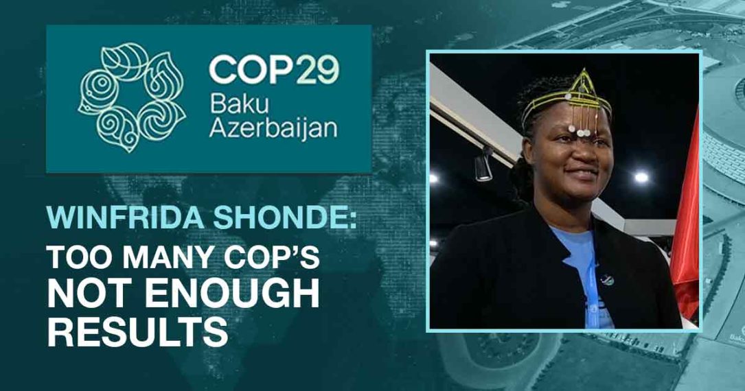 Too Many COPs, Not Enough Results, Says African Environmentalist