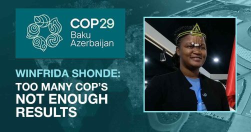 Too Many COPs, Not Enough Results, Says African Environmentalist