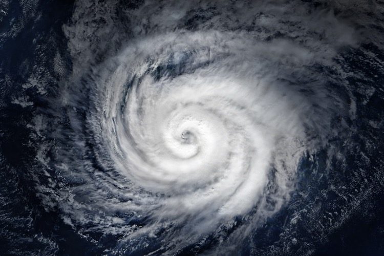 Michael Mann’s Failed Hurricane Prediction