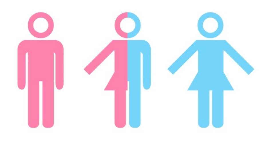 Oregon Judge Rules Transgenders May Change Sex to “Non-Binary.” What’s Next?