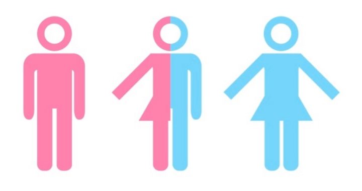 Oregon Judge Rules Transgenders May Change Sex to “Non-Binary.” What’s Next?