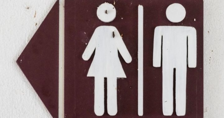 School Board in Virginia Asks High Court to Rule on Transgender Restroom Case