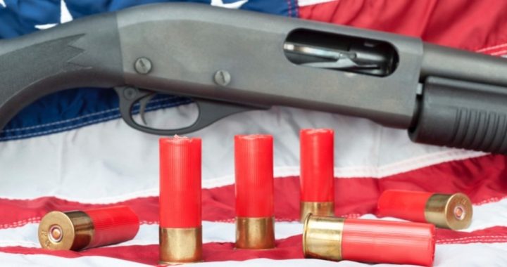 Obama Decree Targets Gunsmiths and Online Firearm Information