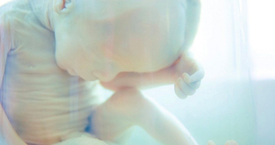 High-school Students Dissect Babies’ Brains; Official Shrugs it Off