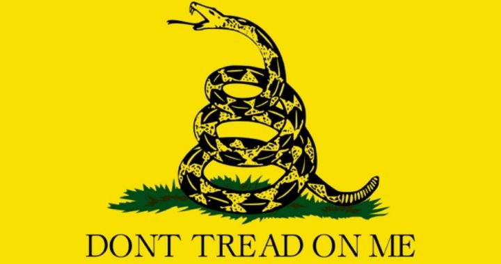 Obama Administration: “Don’t Tread on Me” Clothes are Racist