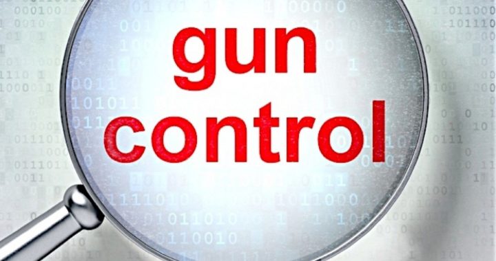U.S. Lawmakers Call Out State Dept. Backdoor to Gun Control