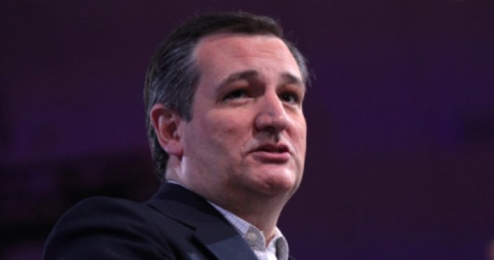 Internet Freedom and Supreme Court Are Keys to Cruz Endorsement of Trump