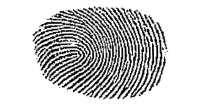 DOJ Gets Warrant to Force People to Use Fingerprints to Unlock Their Phones