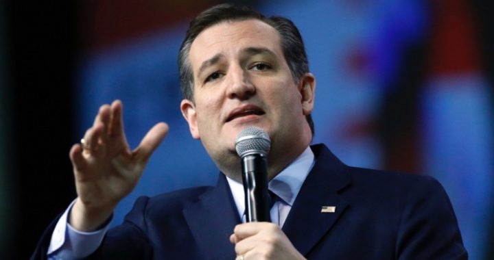 Trump Considering Ted Cruz for Attorney General