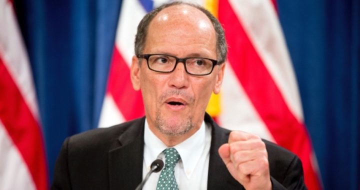Obama’s Labor Secretary Wants To Be DNC Chair