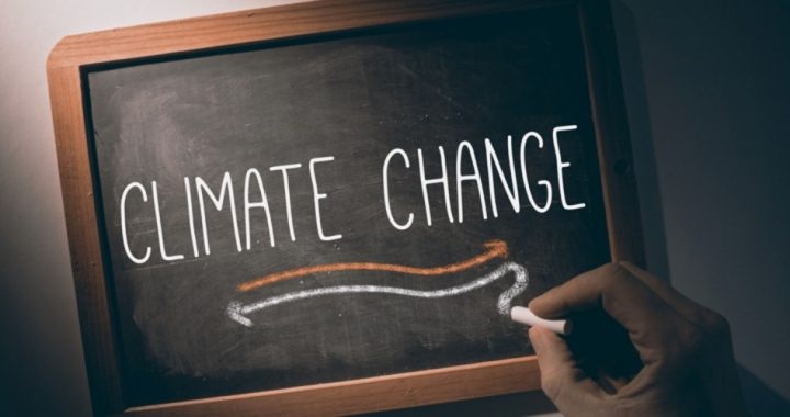 Professor Resigns Due to “Craziness” Over Climate Science