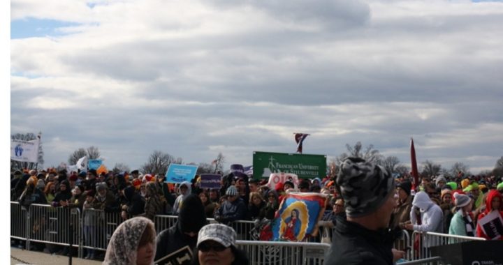 Annual March for Life in Washington, D.C. Energized by Pro-Life Administration