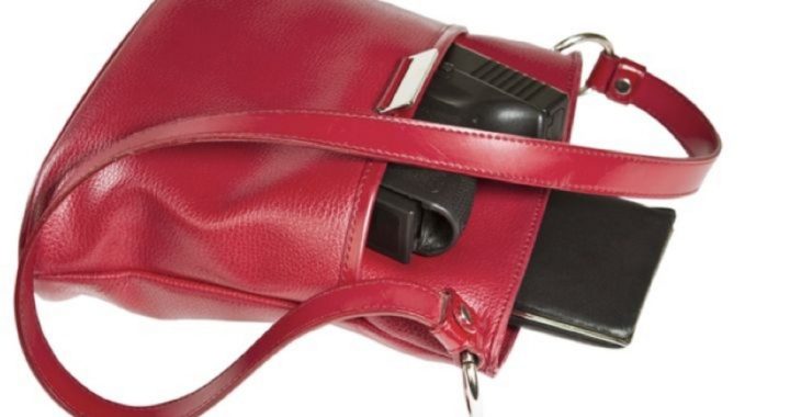 Court Rules That Those Carrying Concealed Are Presumed to Be Dangerous