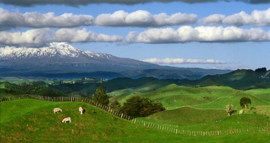 Elites Prep for Trumpocalypse: Buying New Zealand Land, Condos in Old Missile Silos