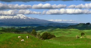Elites Prep for Trumpocalypse: Buying New Zealand Land, Condos in Old Missile Silos