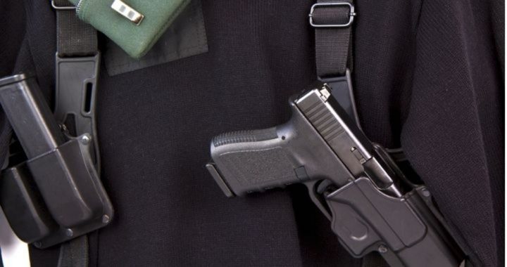 Florida Legislators File Dozens of Gun Bills, Most Expanding Gun Rights
