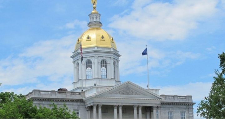 New Hampshire House Unanimously Approves Bill Restricting Stingray Surveillance