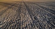 Farmer Fined $2.8 Million for Plowing His Own Land