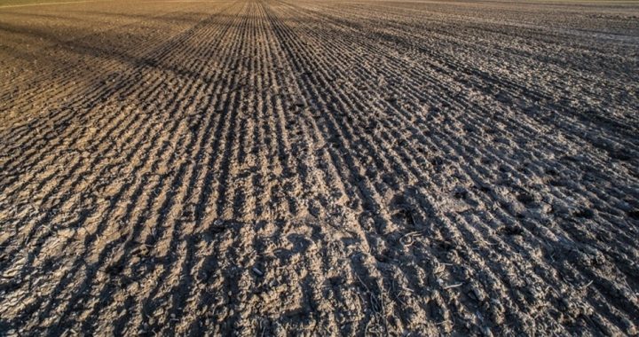Farmer Fined $2.8 Million for Plowing His Own Land