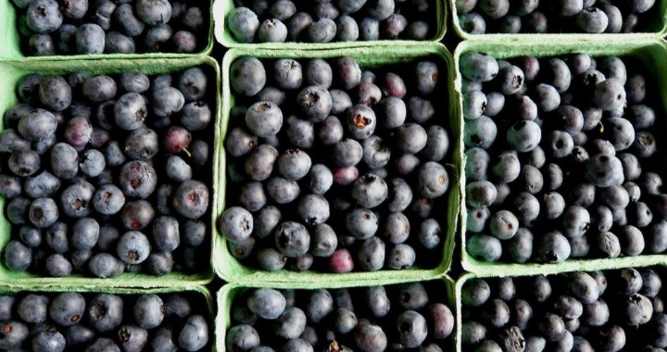 Berries, Ice Cream, Gay Agenda