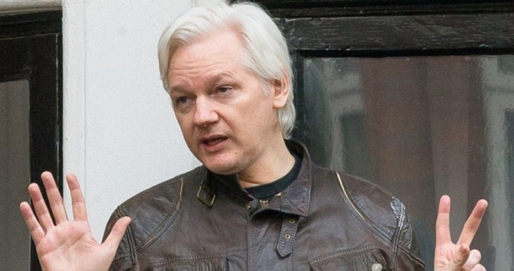 Congressman: Trump Kept in Dark About Assange Deal
