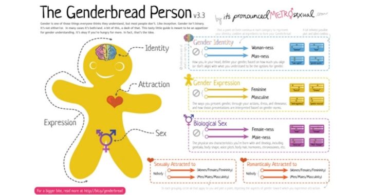 Another Teacher Uses “Genderbread People” to Explain Transgender Lesson