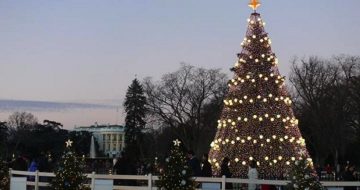 Trump Lights Up Christmas Tree, Explains Real Reason for the Season