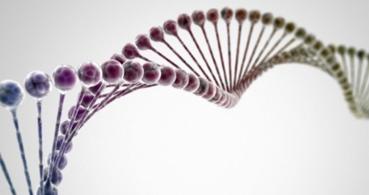 Scientific Experts Critical of New Research Claiming Link Between DNA, Sexual Orientation