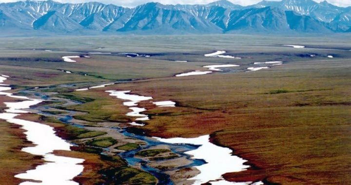 Opening ANWR to Energy Development May Be Too Late